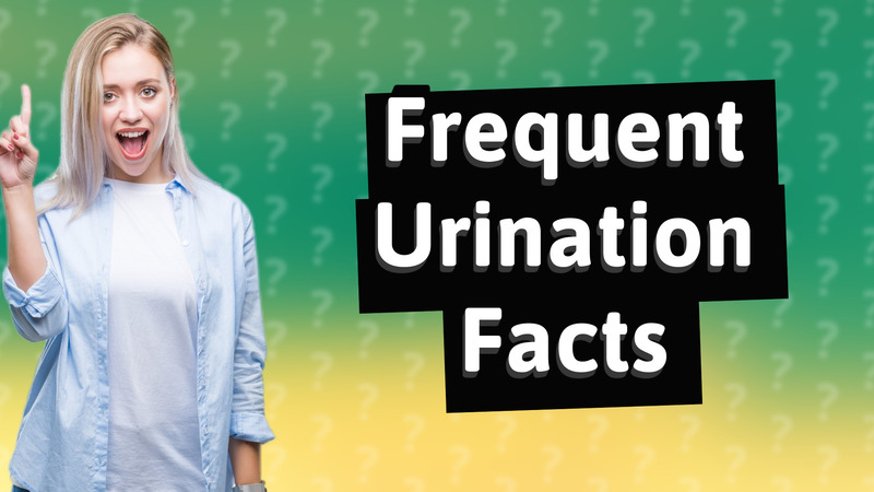 Frequent Urination Facts