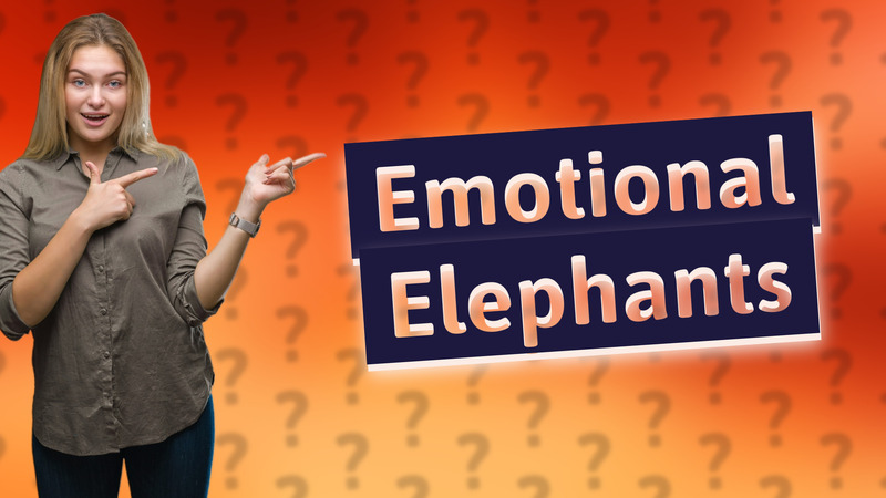Emotional Elephants