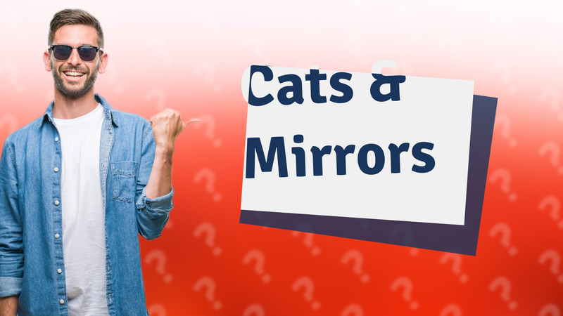 Cats & Mirrors