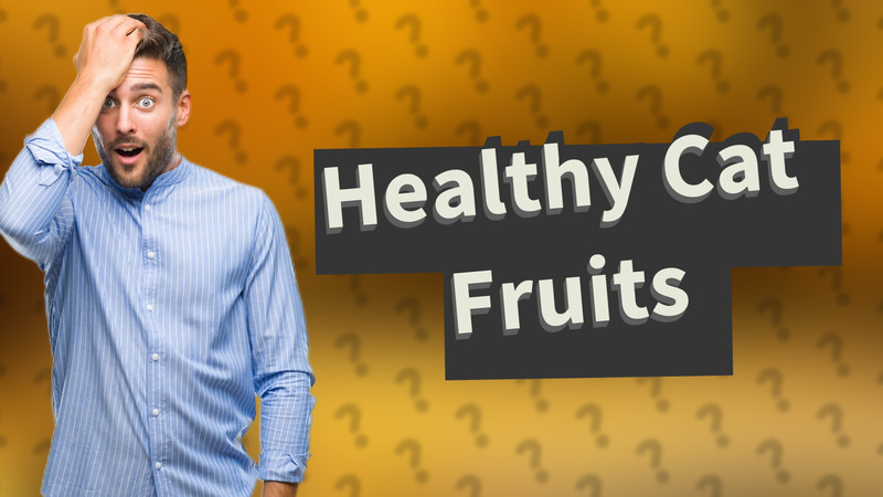Healthy Cat Fruits