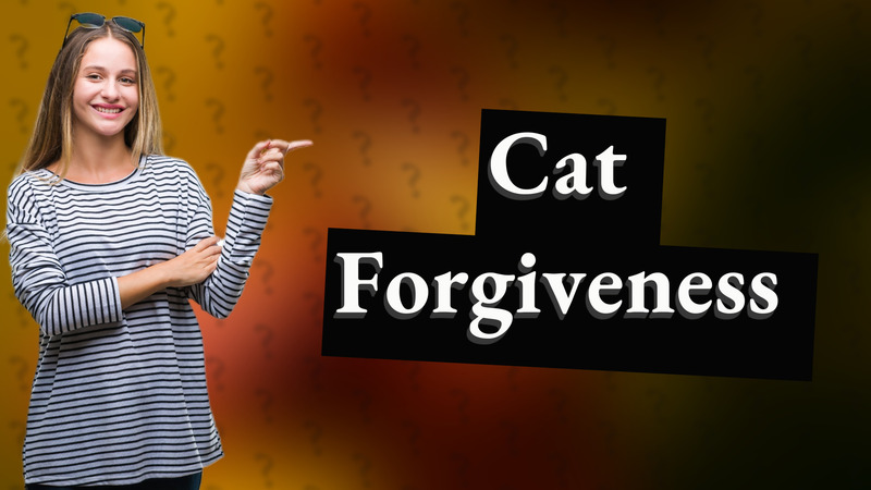 Cat Forgiveness