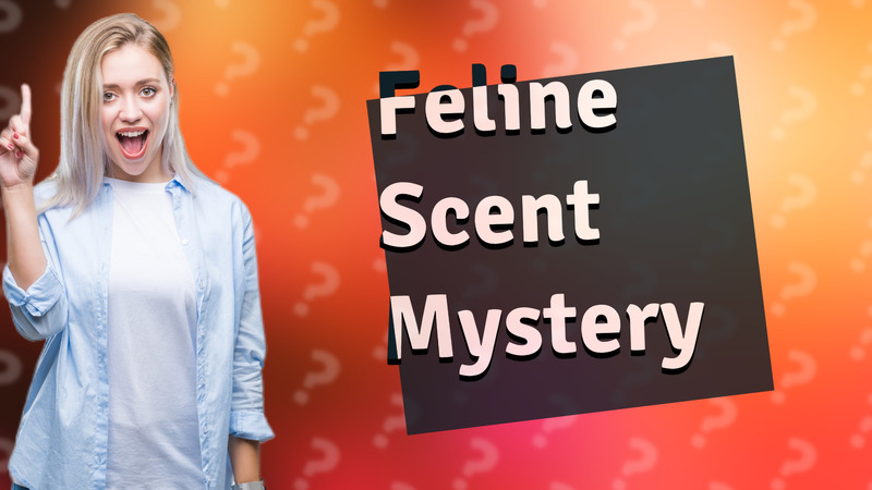 Feline Scent Mystery