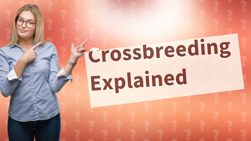 Crossbreeding Explained