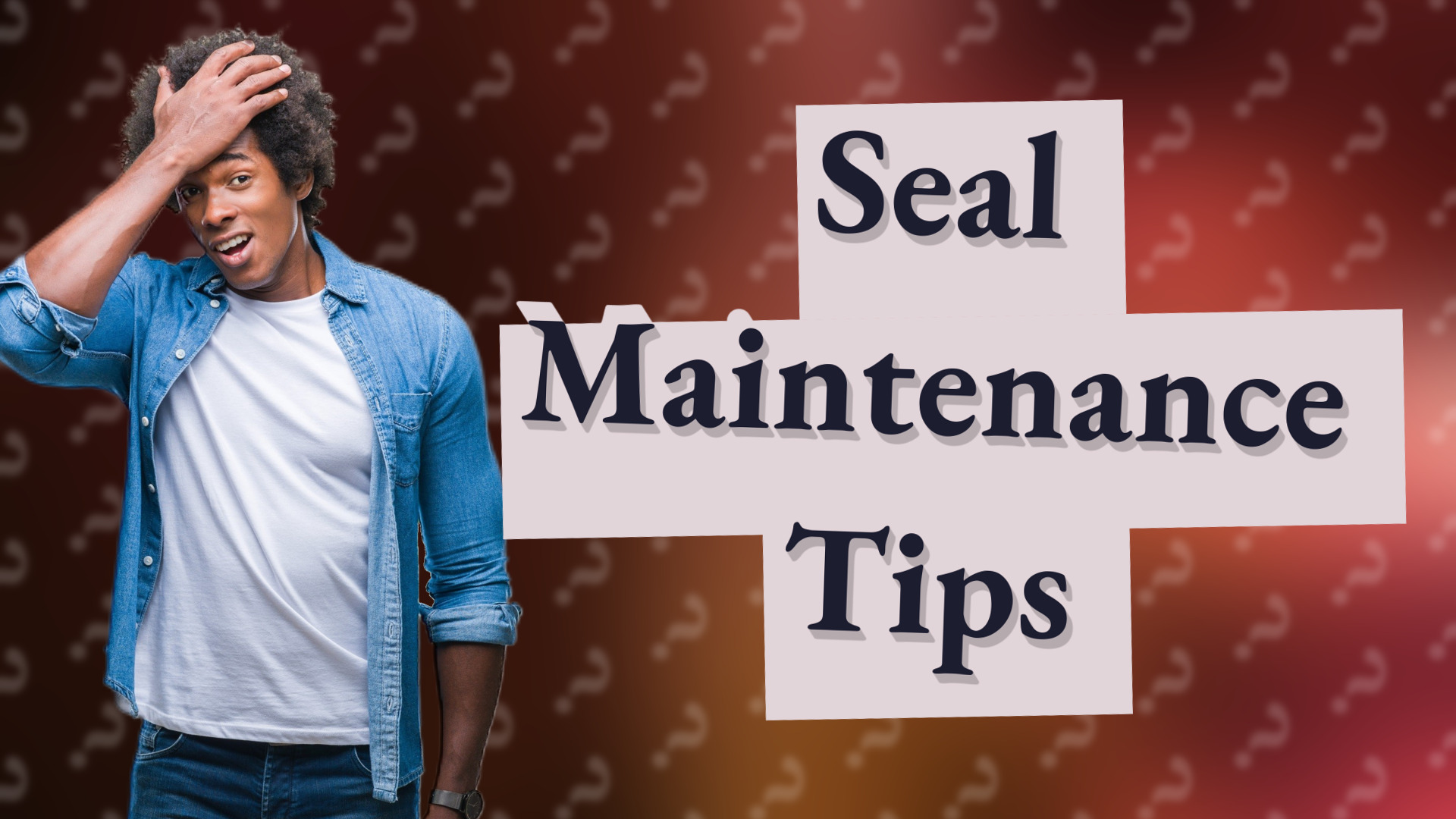 Seal Maintenance Tips