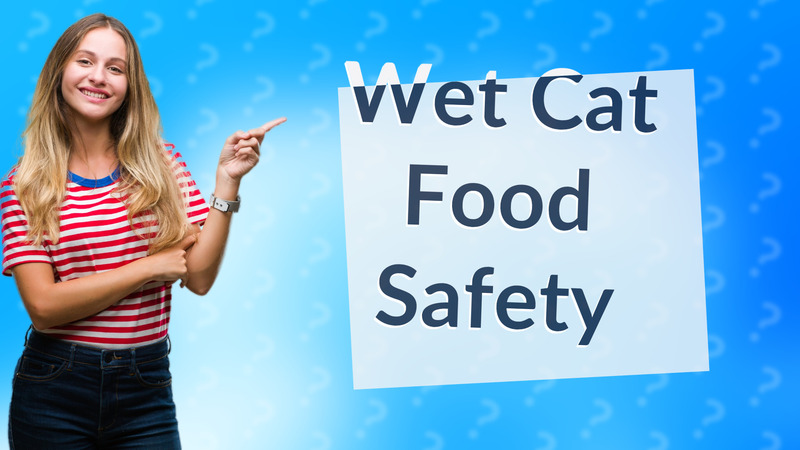 Wet Cat Food Safety