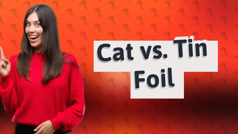 Cat vs. Tin Foil