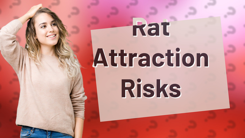 Rat Attraction Risks