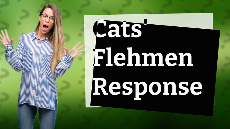 Cats' Flehmen Response