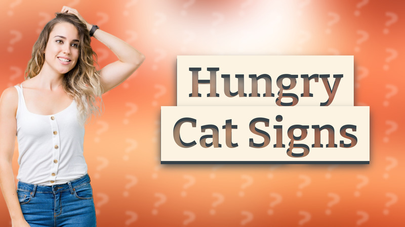 Hungry Cat Signs