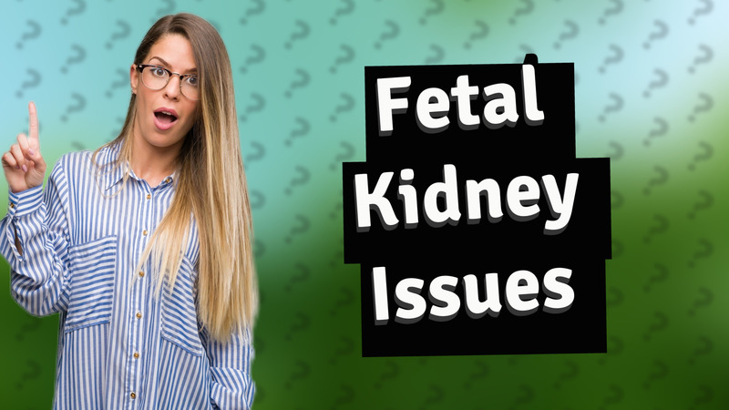 Fetal Kidney Issues