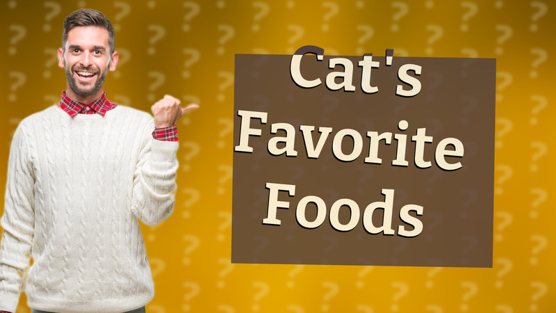 Cat's Favorite Foods