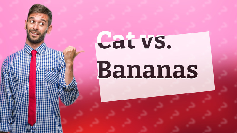 Cat vs. Bananas