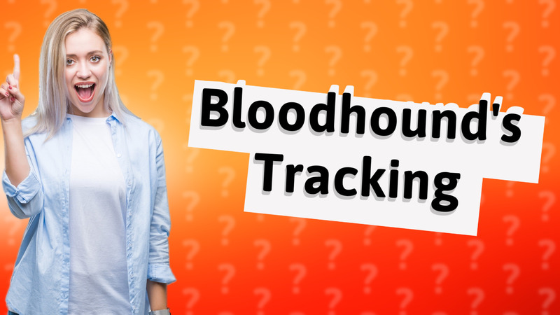 Bloodhound's Tracking