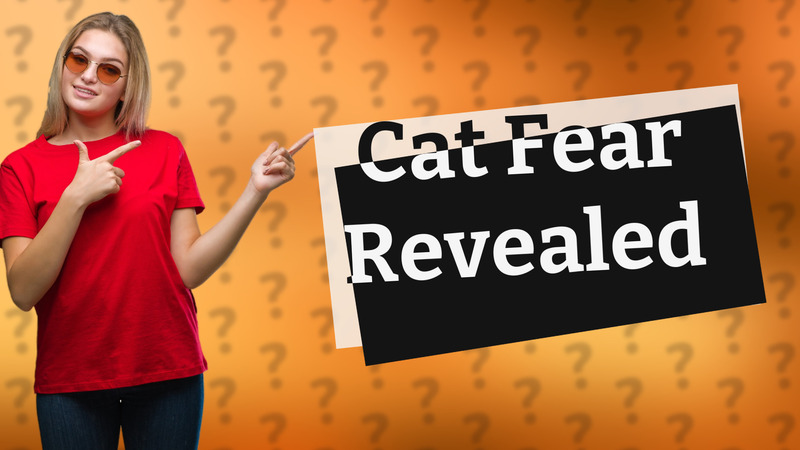Cat Fear Revealed