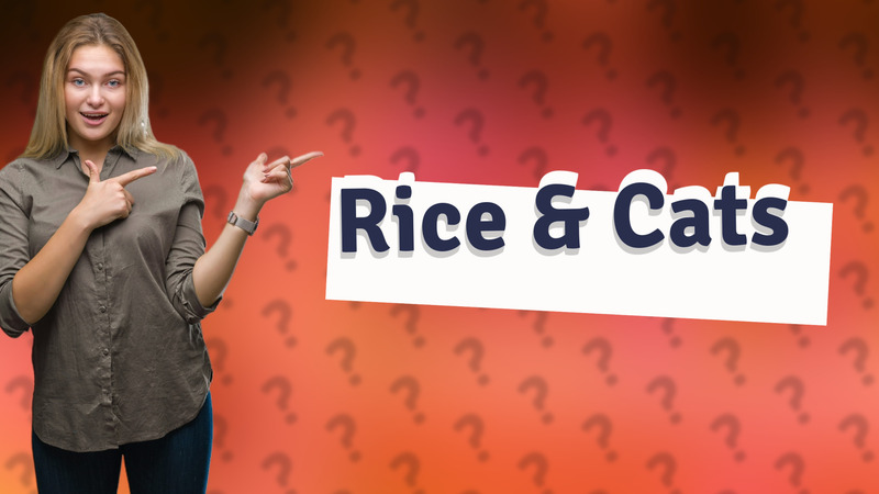 Rice & Cats