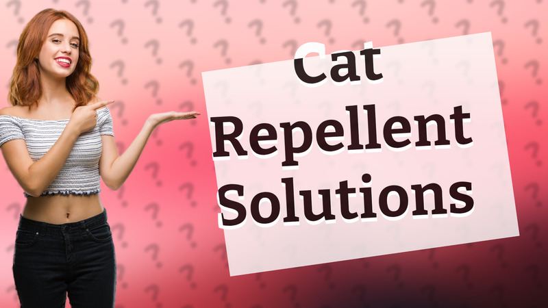 Cat Repellent Solutions