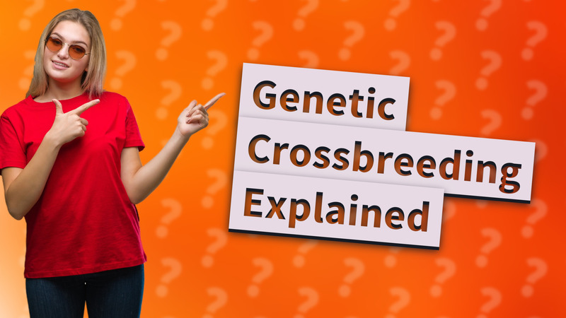 Genetic Crossbreeding Explained