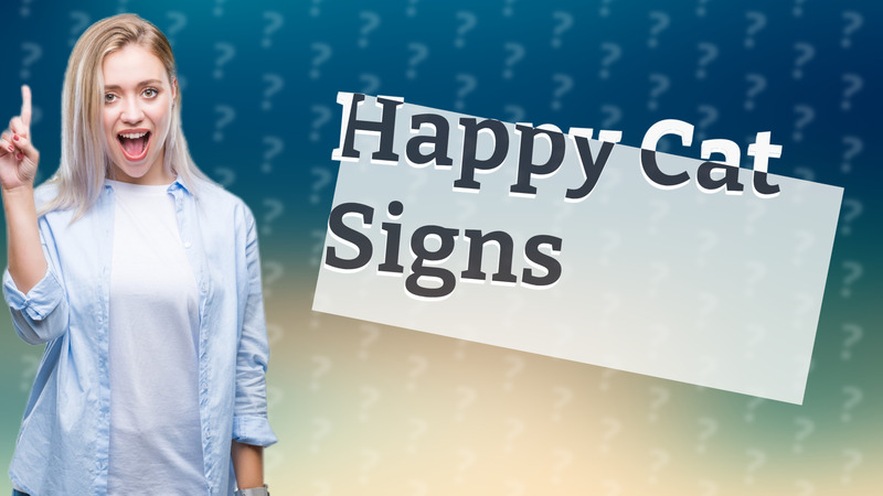 Happy Cat Signs