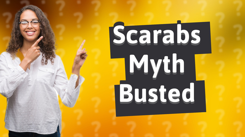 Scarabs Myth Busted
