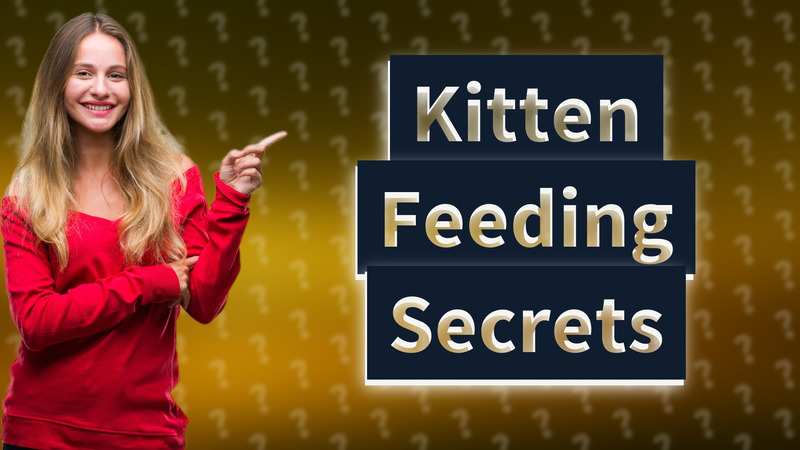 Kitten Feeding Secrets
