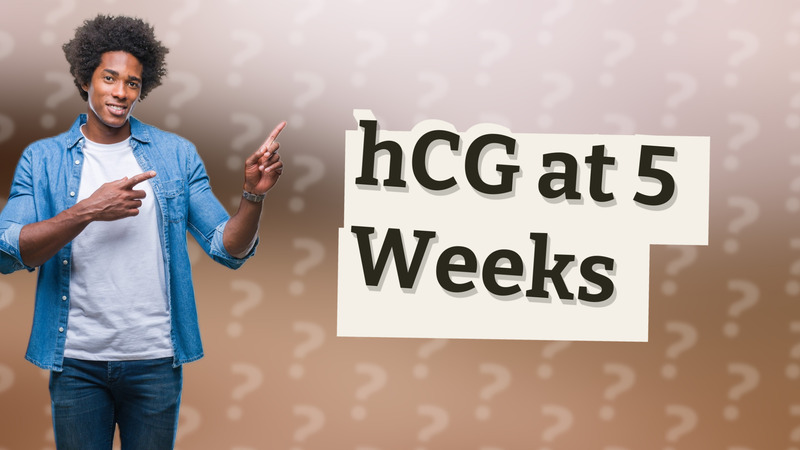 hCG at 5 Weeks