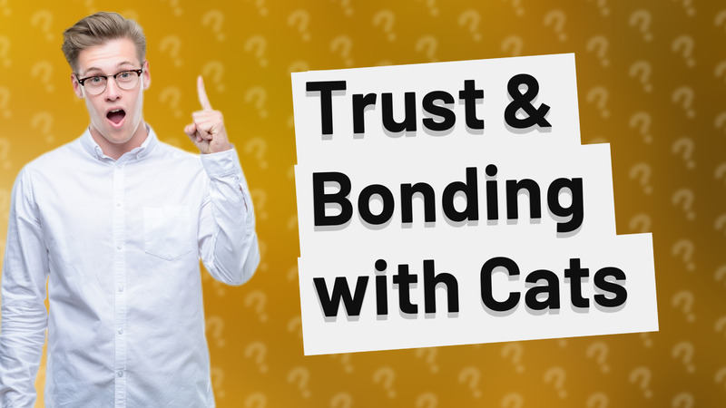 Trust & Bonding with Cats