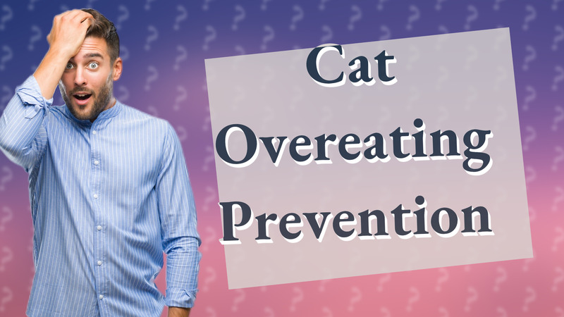 Cat Overeating Prevention