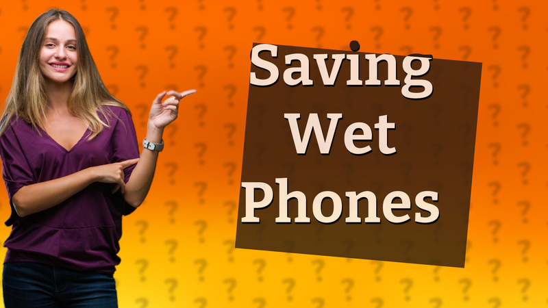 Saving Wet Phones