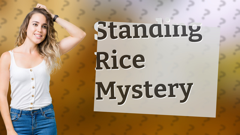 Standing Rice Mystery