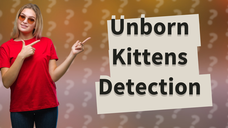 Unborn Kittens Detection