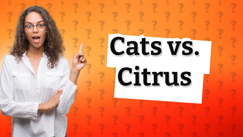 Cats vs. Citrus