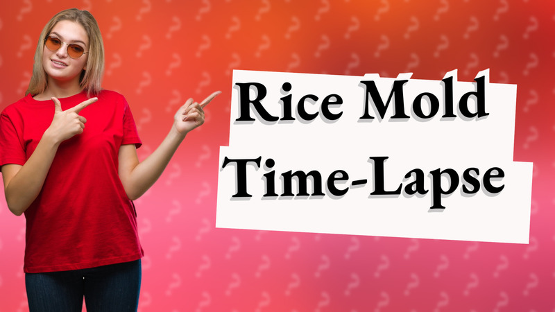 Rice Mold Time-Lapse