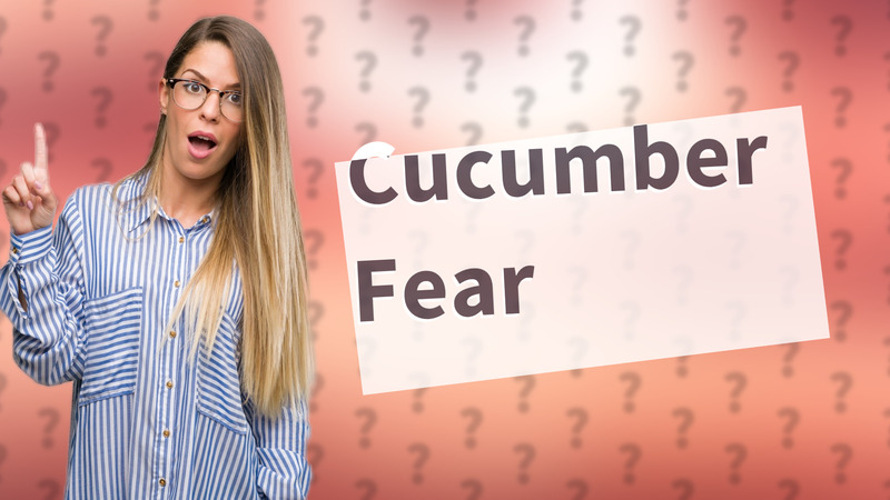 Cucumber Fear