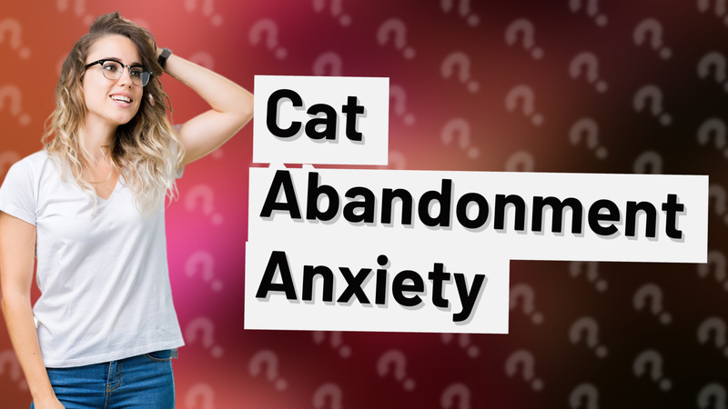 Cat Abandonment Anxiety
