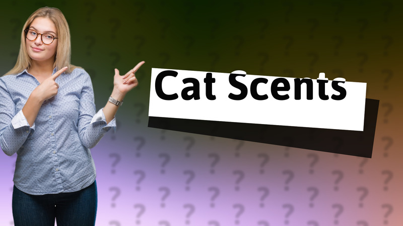 Cat Scents