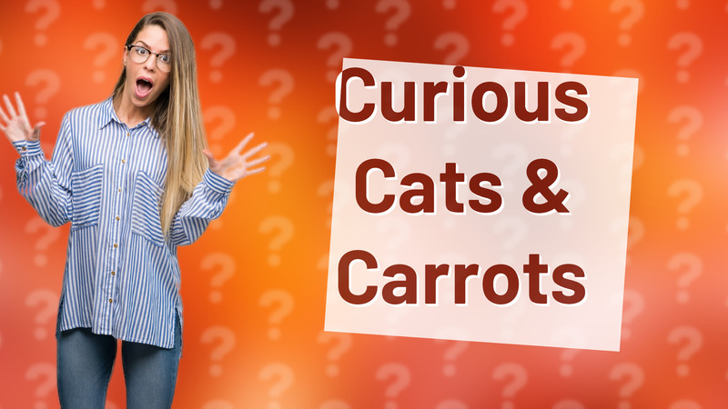Curious Cats & Carrots