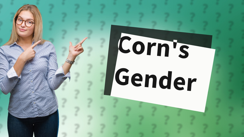 Corn's Gender