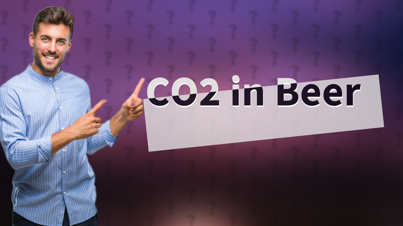 CO2 in Beer