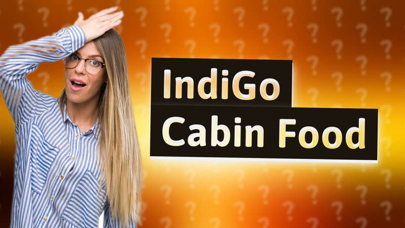 IndiGo Cabin Food