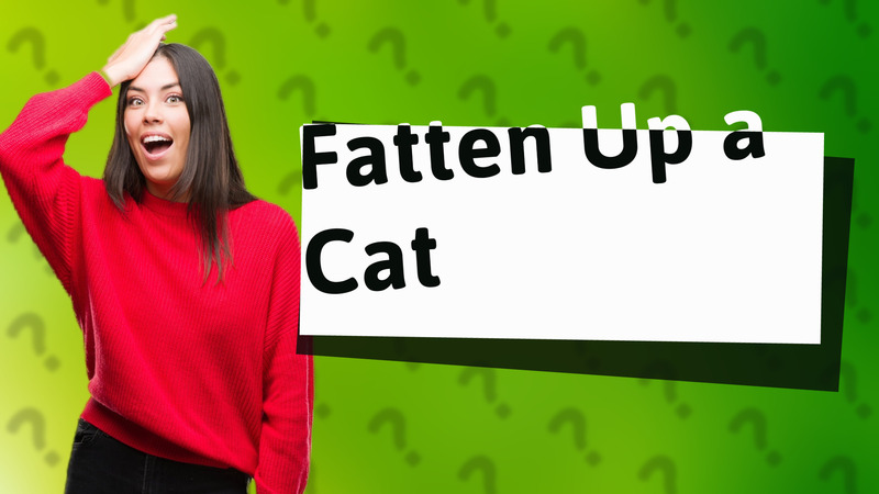 Fatten Up a Cat