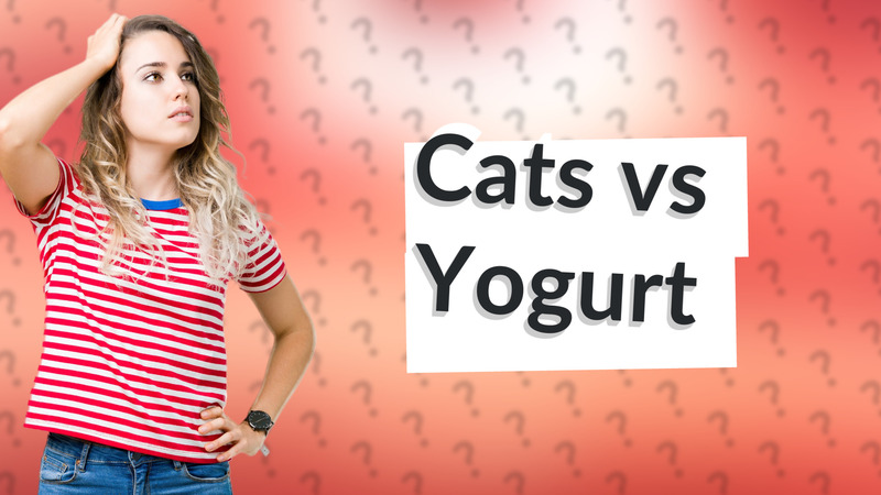 Cats vs Yogurt