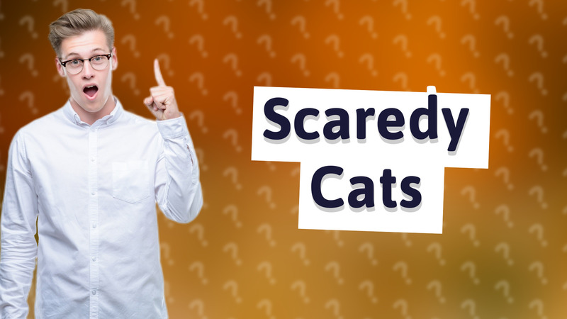 Scaredy Cats