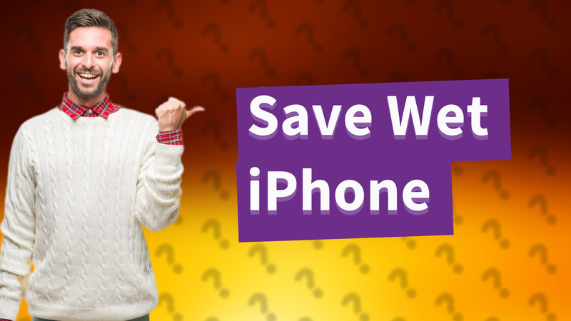 Save Wet iPhone
