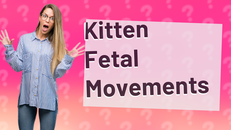 Kitten Fetal Movements