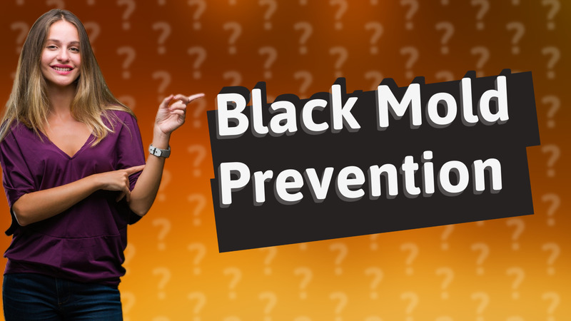 Black Mold Prevention