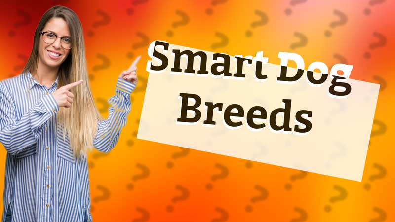 Smart Dog Breeds