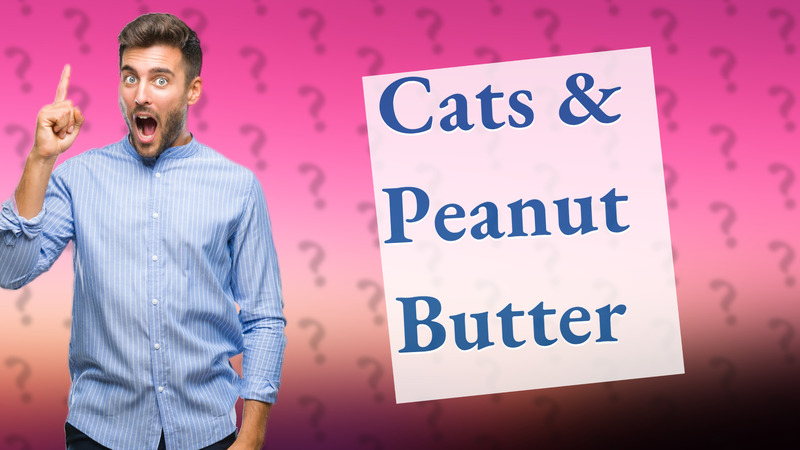 Cats & Peanut Butter