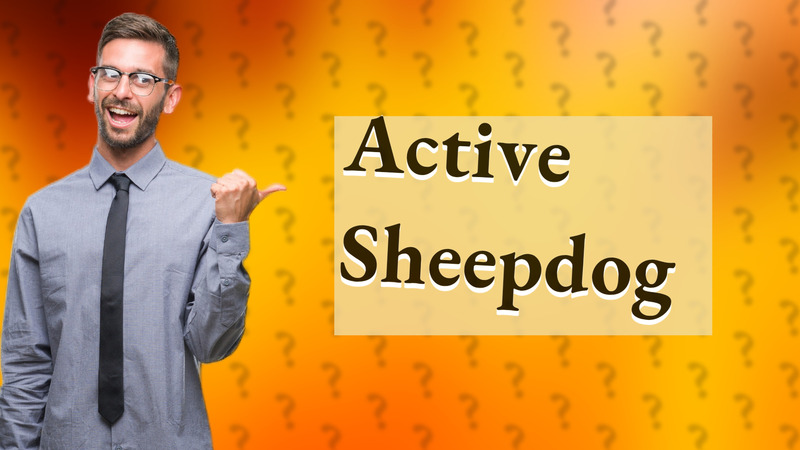 Active Sheepdog
