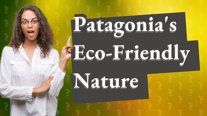 Patagonia's Eco-Friendly Nature