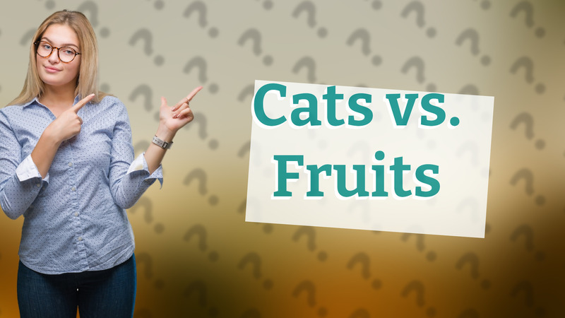 Cats vs. Fruits